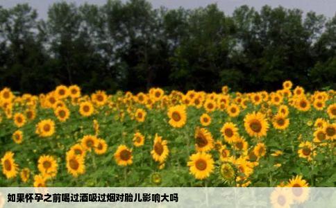 如果怀孕之前喝过酒吸过烟对胎儿影响大吗