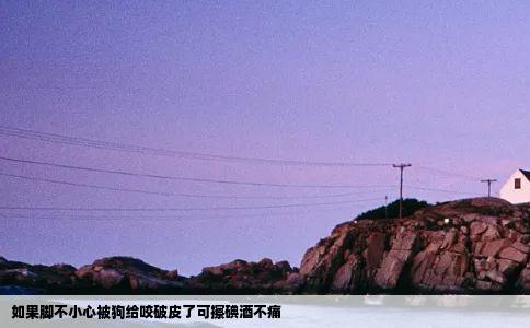 如果脚不小心被狗给咬破皮了可擦碘酒不痛