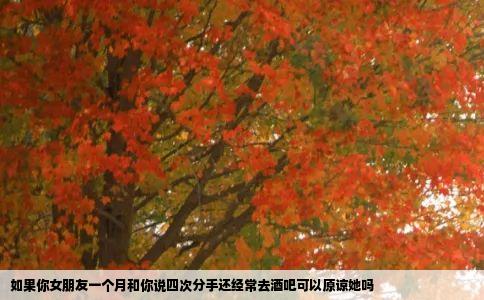 如果你女朋友一个月和你说四次分手还经常去酒吧可以原谅她吗