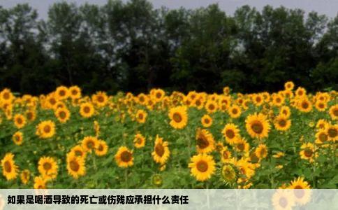 如果是喝酒导致的死亡或伤残应承担什么责任