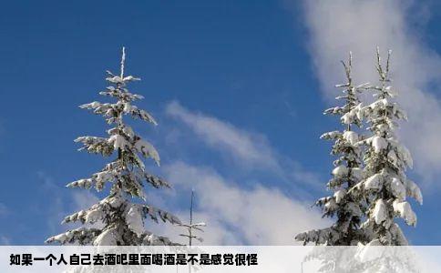 如果一个人自己去酒吧里面喝酒是不是感觉很怪