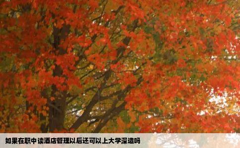 如果在职中读酒店管理以后还可以上大学深造吗