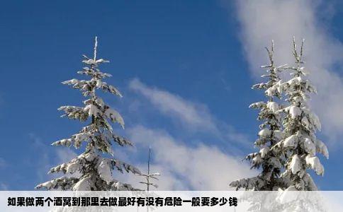 如果做两个酒窝到那里去做最好有没有危险一般要多少钱