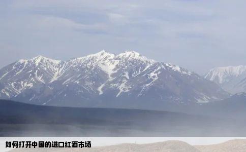 如何打开中国的进口红酒市场
