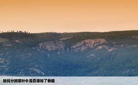 如何分辨茶叶中是否添加了香精
