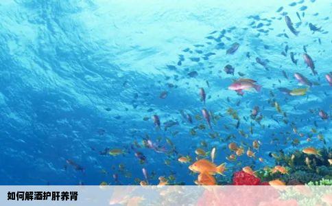 如何解酒护肝养肾