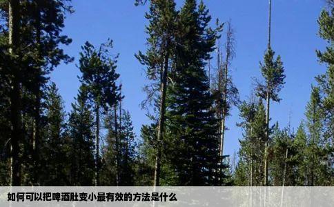 如何可以把啤酒肚变小最有效的方法是什么