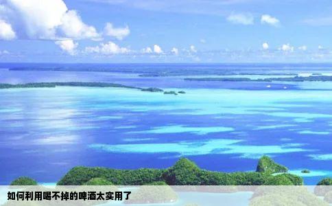 如何利用喝不掉的啤酒太实用了