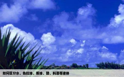 如何区分水色拉油酱油醋料酒等液体