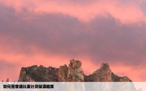 如何用普通比重计测量酒精度