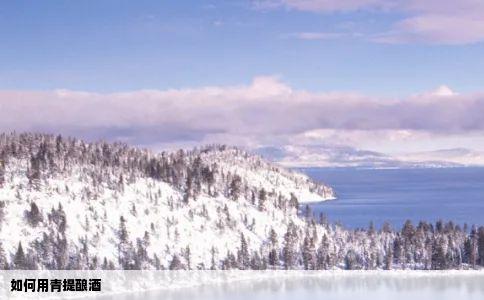 如何用青提酿酒