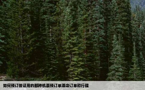 如何预订签证用的那种机票预订单酒店订单和行程