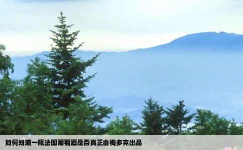 如何知道一瓶法国葡萄酒是否真正由梅多克出品