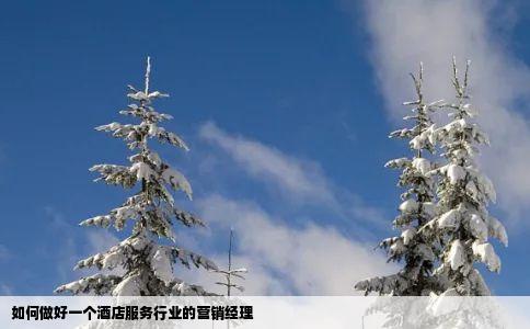 如何做好一个酒店服务行业的营销经理