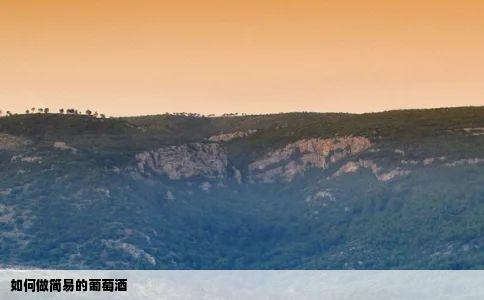 如何做简易的葡萄酒