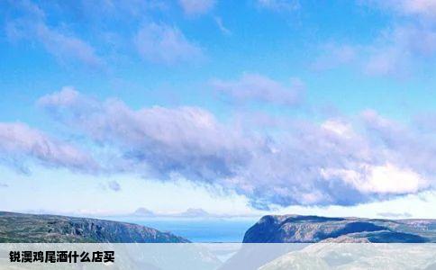 锐澳鸡尾酒什么店买