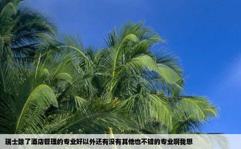 瑞士除了酒店管理的专业好以外还有没有其他也不错的专业啊我想