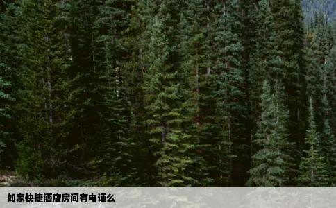 如家快捷酒店房间有电话么
