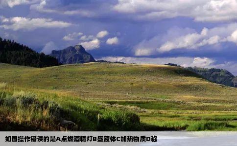 如图操作错误的是A点燃酒精灯B盛液体C加热物质D称