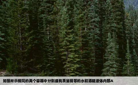 如图所示相同的两个容器中分别盛有质量相等的水和酒精液体内部A