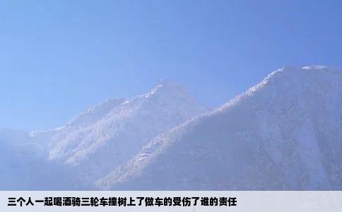 三个人一起喝酒骑三轮车撞树上了做车的受伤了谁的责任