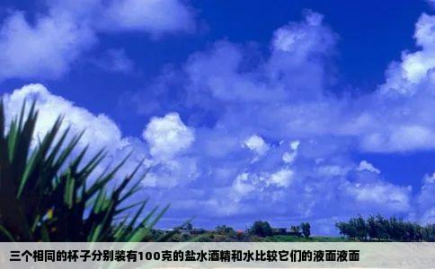 三个相同的杯子分别装有100克的盐水酒精和水比较它们的液面液面