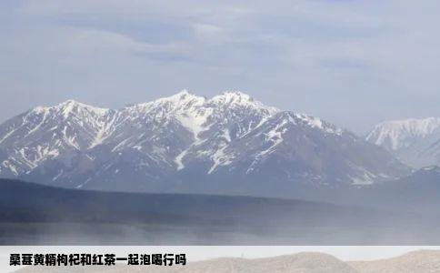 桑葚黄糈枸杞和红茶一起泡喝行吗