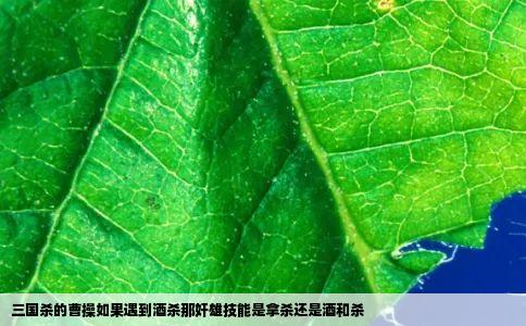 三国杀的曹操如果遇到酒杀那奸雄技能是拿杀还是酒和杀