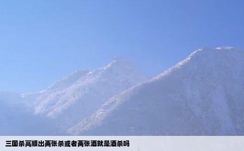 三国杀高顺出两张杀或者两张酒就是酒杀吗
