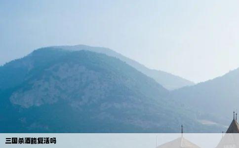 三国杀酒能复活吗