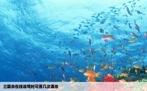 三国杀在挂连弩时可用几次酒杀