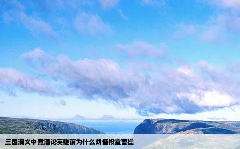 三国演义中煮酒论英雄前为什么刘备投靠曹操
