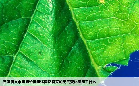 三国演义中煮酒论英雄这突然其来的天气变化暗示了什么