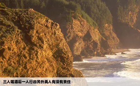 三人喝酒后一人行凶另外两人有没有责任