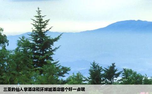 三亚的仙人掌酒店和环球城酒店哪个好一点呢