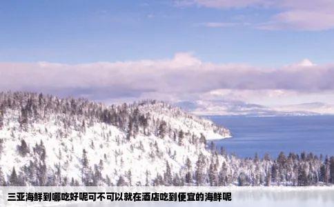 三亚海鲜到哪吃好呢可不可以就在酒店吃到便宜的海鲜呢