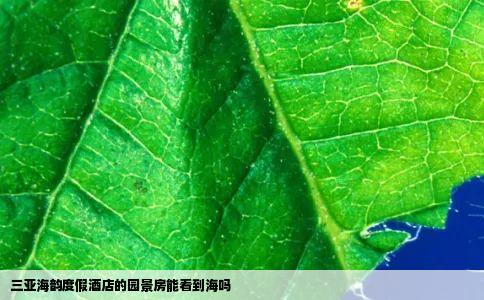 三亚海韵度假酒店的园景房能看到海吗