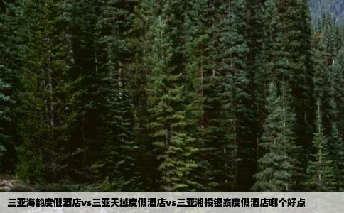 三亚海韵度假酒店vs三亚天域度假酒店vs三亚湘投银泰度假酒店哪个好点