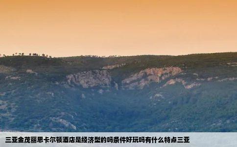三亚金茂丽思卡尔顿酒店是经济型的吗条件好玩吗有什么特点三亚