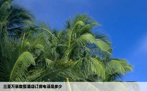 三亚万豪度假酒店订房电话是多少