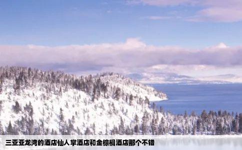 三亚亚龙湾的酒店仙人掌酒店和金棕榈酒店那个不错