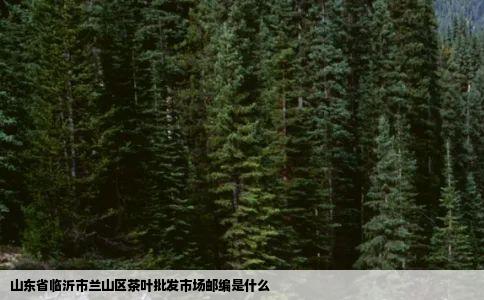 山东省临沂市兰山区茶叶批发市场邮编是什么