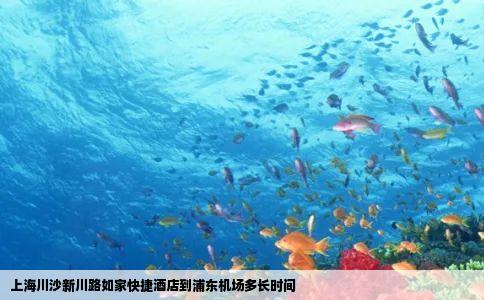 上海川沙新川路如家快捷酒店到浦东机场多长时间