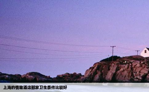 上海的情趣酒店那家卫生条件比较好