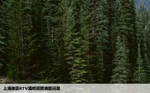上海地区KTV酒吧招聘真假问题