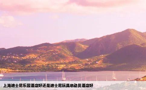 上海迪士尼乐园酒店好还是迪士尼玩具总动员酒店好