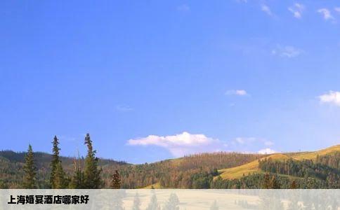 上海婚宴酒店哪家好