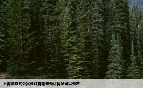 上海酒店式公寓预订有哪些预订网站可以预定