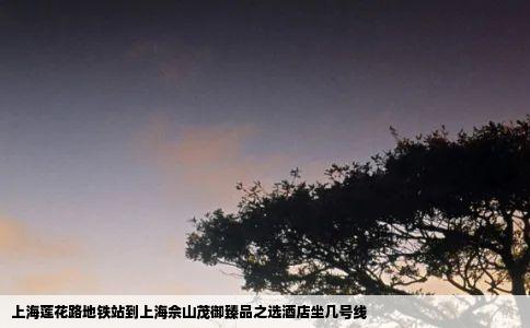 上海莲花路地铁站到上海佘山茂御臻品之选酒店坐几号线