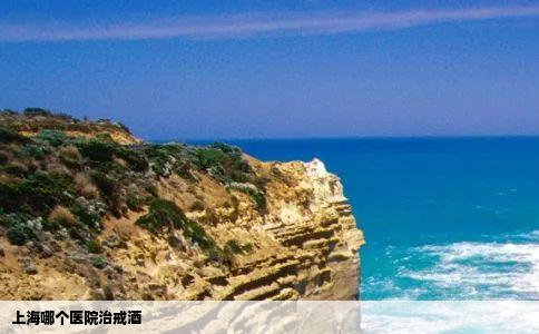 上海哪个医院治戒酒